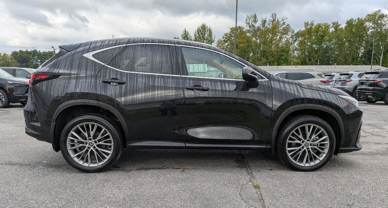 2024 Lexus NX 350 Premium