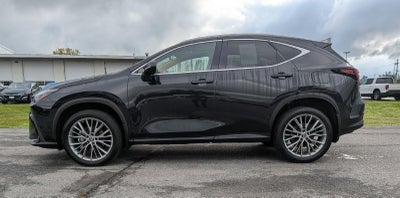 2024 Lexus NX 350 Premium