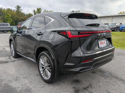2024 Lexus NX 350 Premium