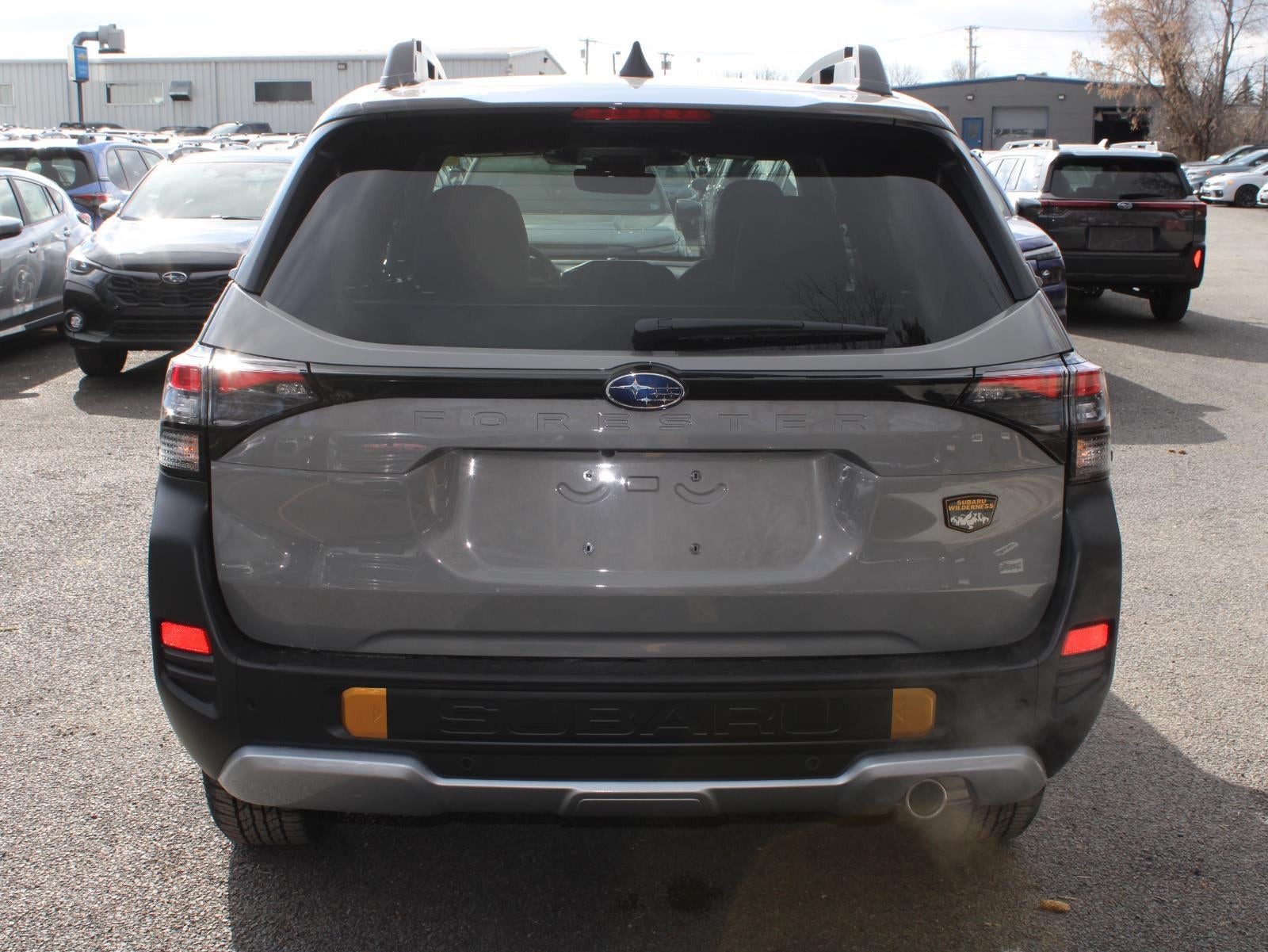 2026 Subaru Forester Wilderness