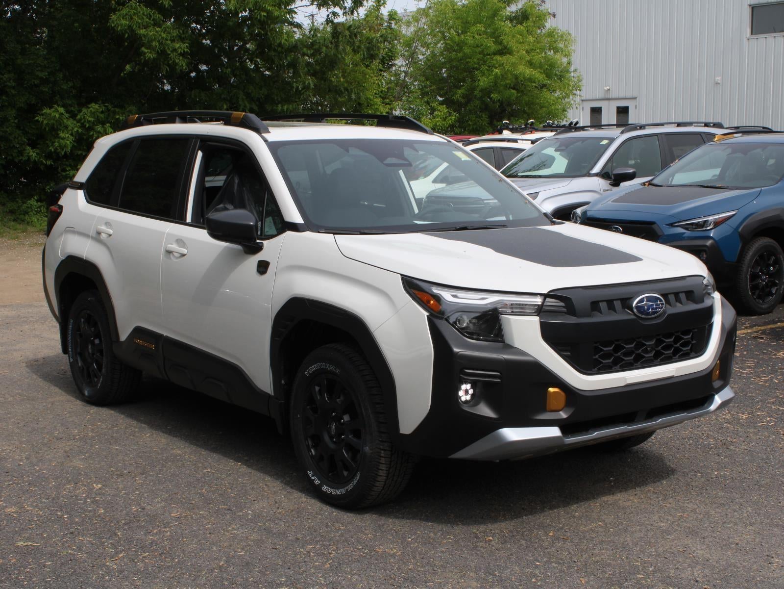 2026 Subaru Forester Wilderness
