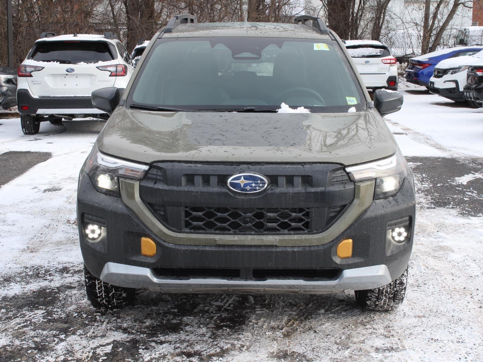 2026 Subaru Forester Wilderness