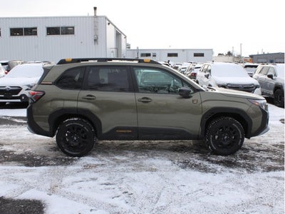 2026 Subaru Forester Wilderness