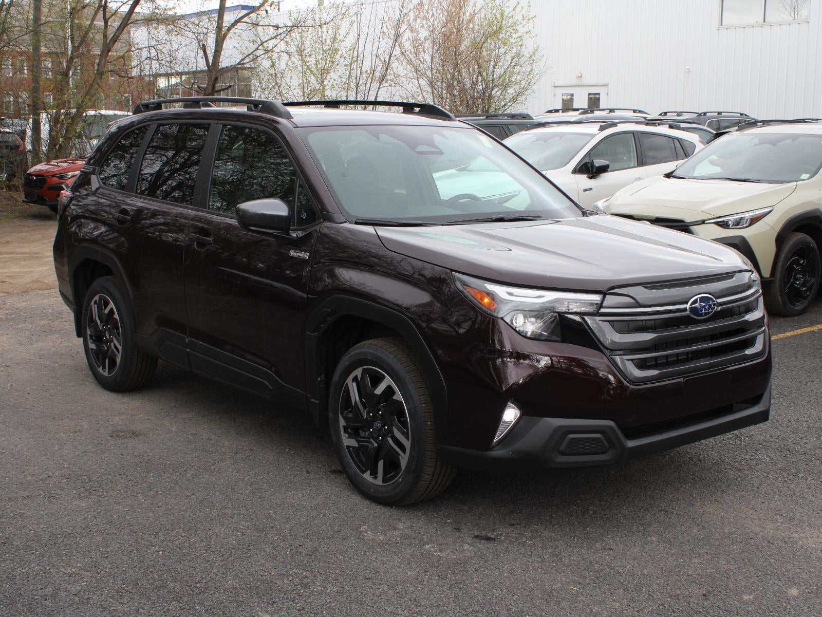 2026 Subaru Forester Premium Hybrid