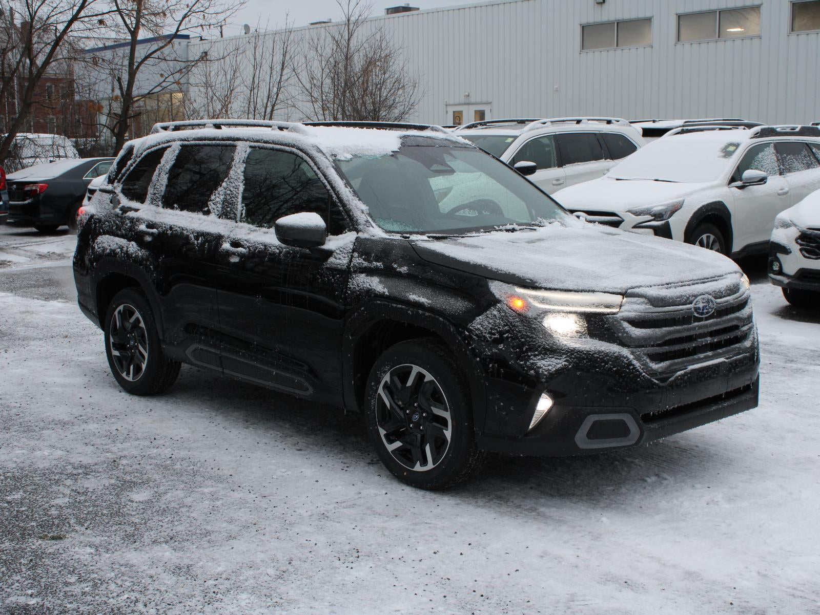 2025 Subaru Forester Limited Hybrid