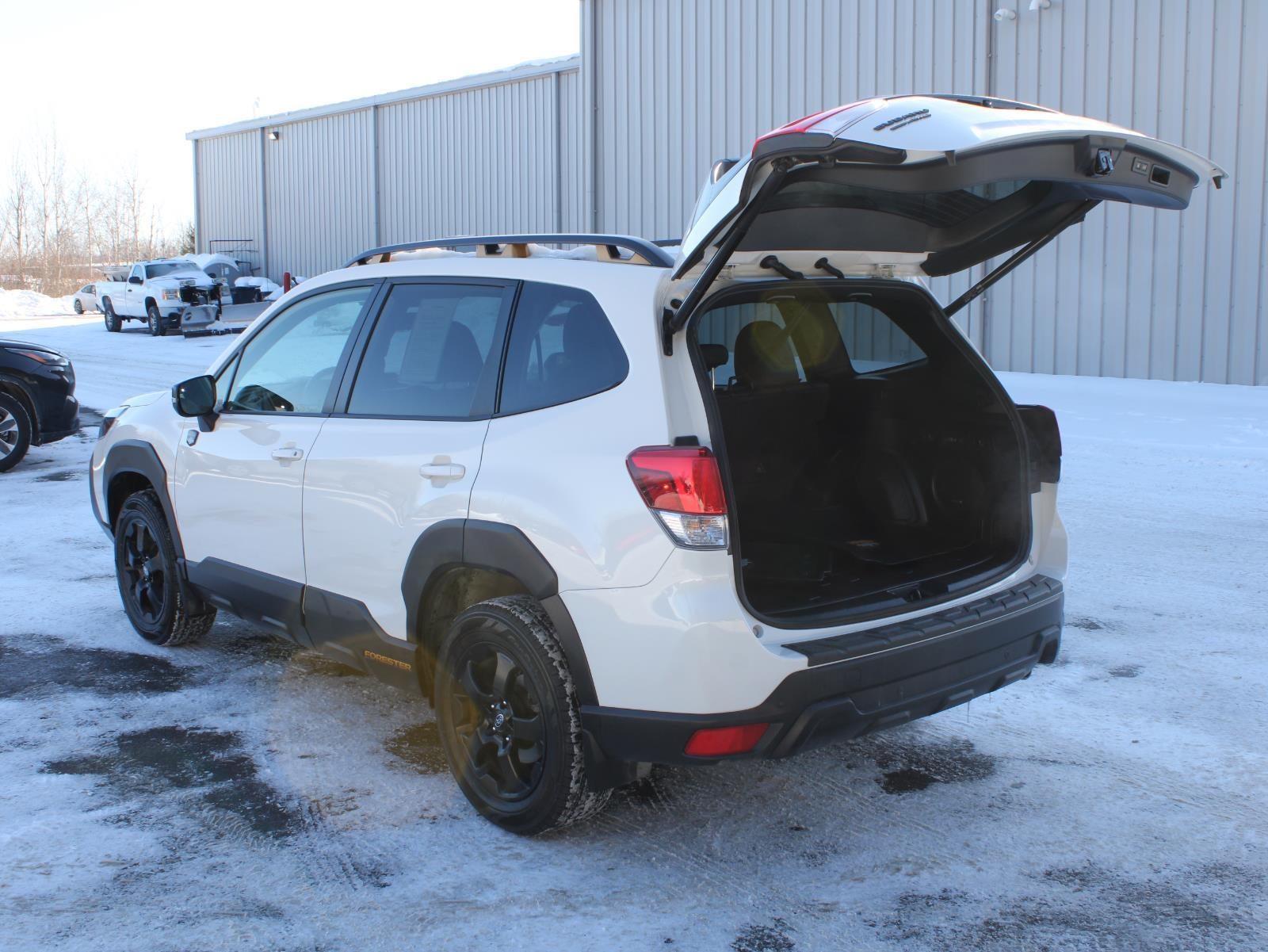 2023 Subaru Forester Wilderness
