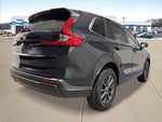2026 Honda CR-V EX-L All Wheel Drive CVT