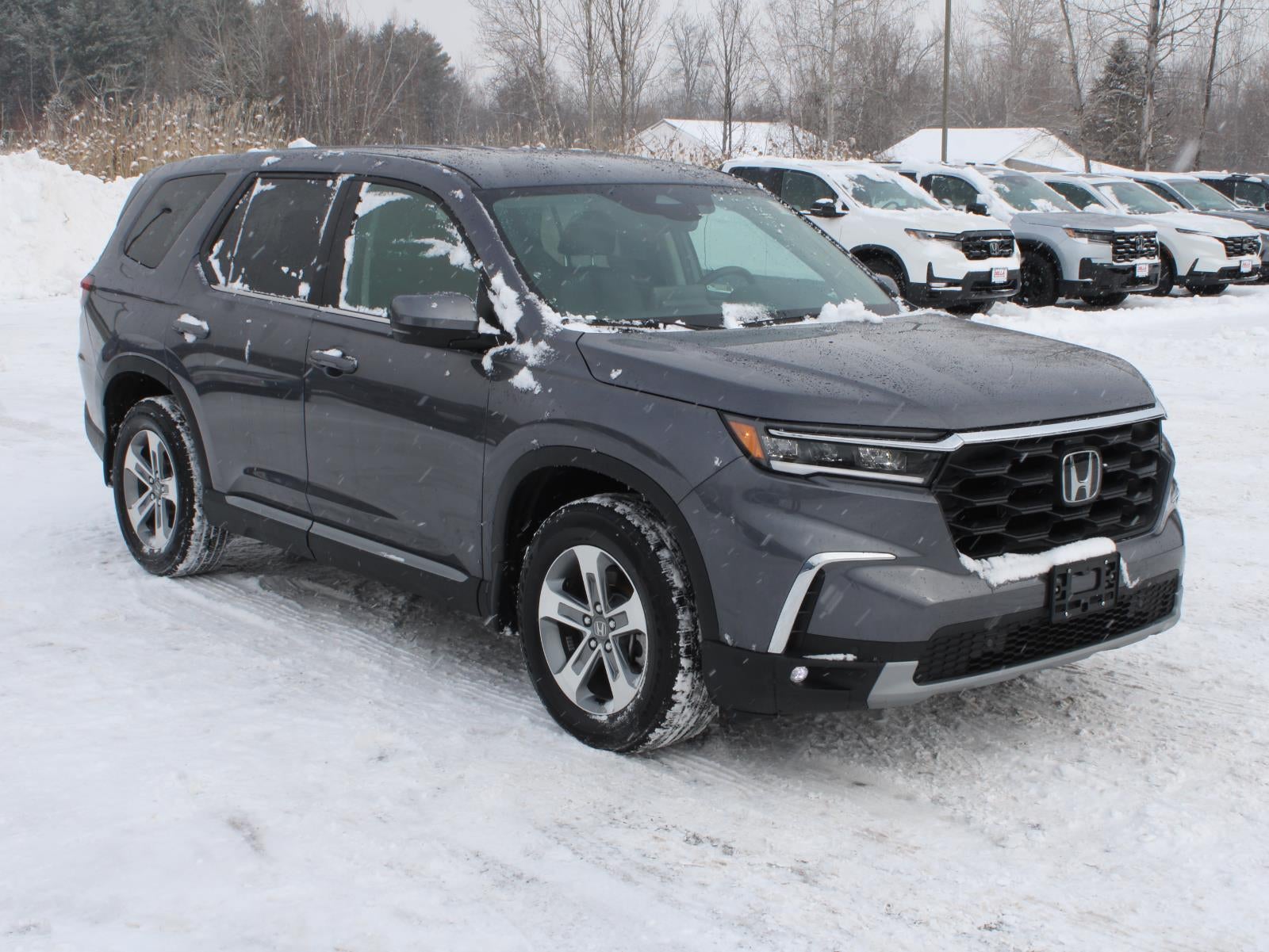 2025 Honda Pilot EX-L All Wheel Drive Automatic