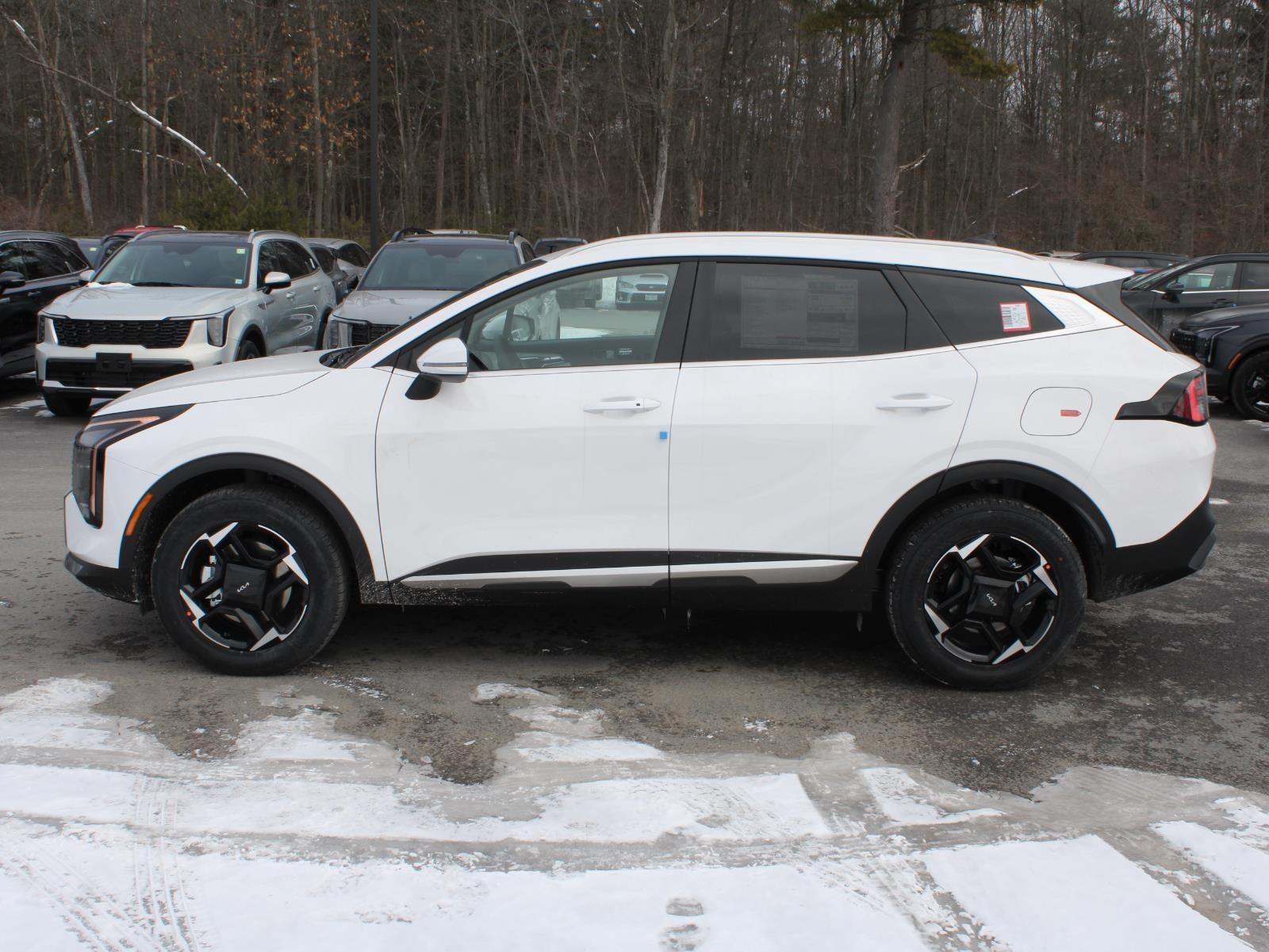 2026 Kia Sportage EX