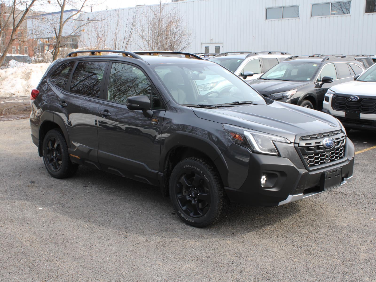 2023 Subaru Forester Wilderness